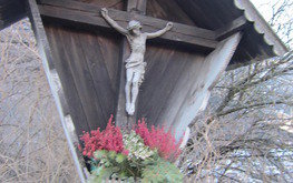 Project thumb c6948e04 7acb 41f1 ab8b 18dda3e4fbd1