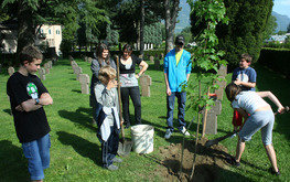 Project thumb 3b95a804 e74a 4d5f b516 75b843488147