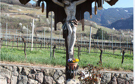 Project thumb 7ec00552 235e 4fb2 9b48 93de649ca01e