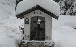 Project thumb 36b891a6 9220 48e7 9e7e 20a77deb1c62